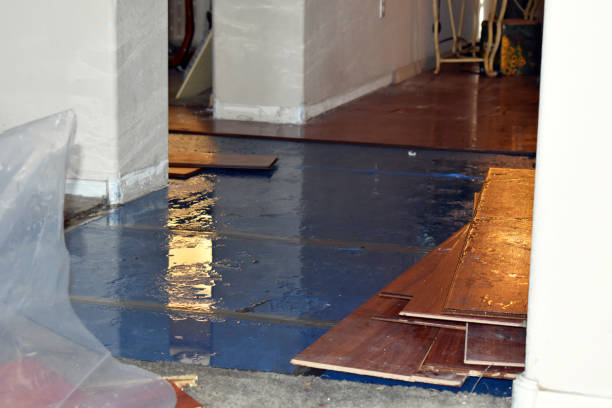 Professional Basement Flood Cleanup technician working in Ludlow, MA